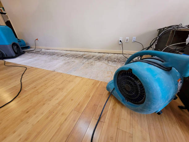 Professional Water Damage Repair technician working in Lusby, MD